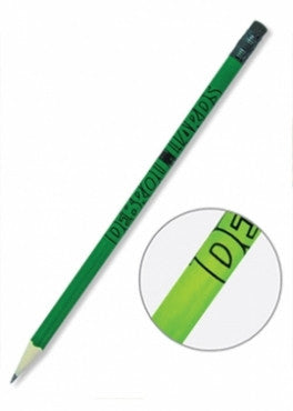 Crayon bois ludique - Pic vert